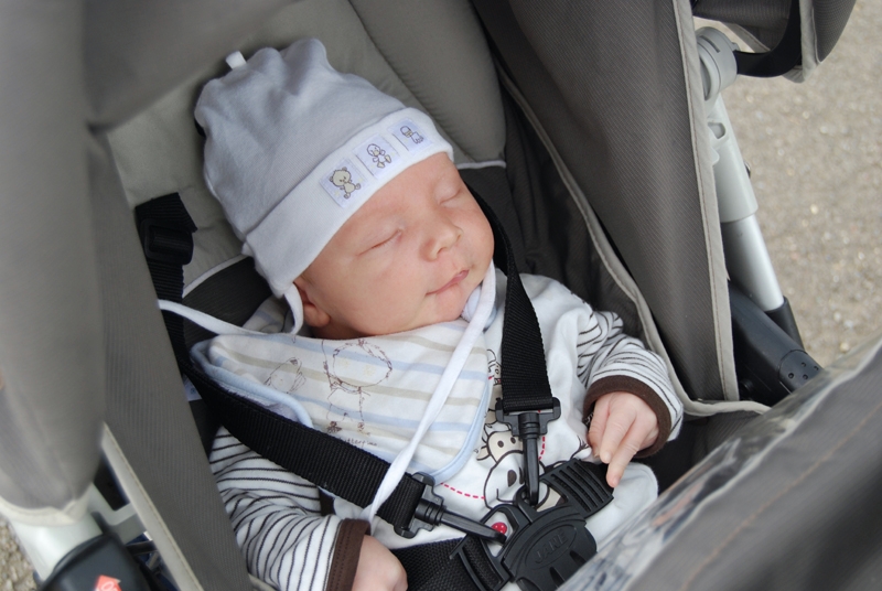 snoozing in push chair.jpg